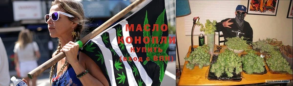 тгк Богданович