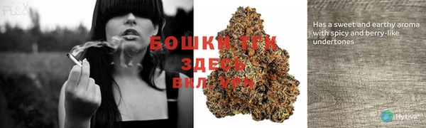 стаф Беломорск