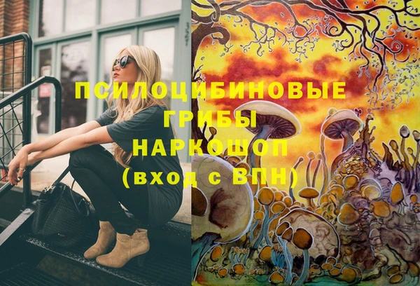 тгк Богданович