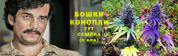 тгк Богородицк