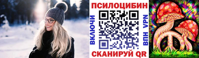 Псилоцибиновые грибы Magic Shrooms mega как войти Ясногорск цены